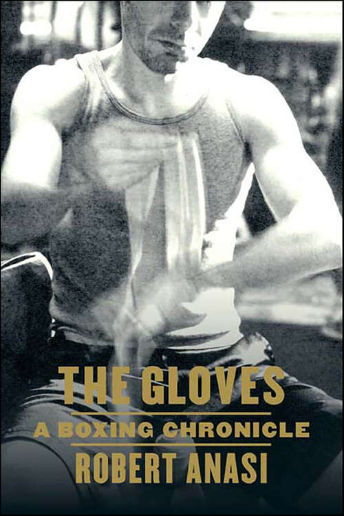 Book cover of The Gloves: A Boxing Chronicle