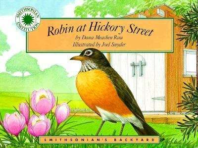 Robin at Hickory Street (Backyard Books)