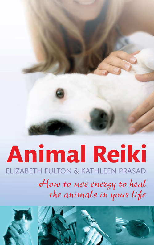 Book cover of Animal Reiki: Using Energy To Heal The Animals In Your Life