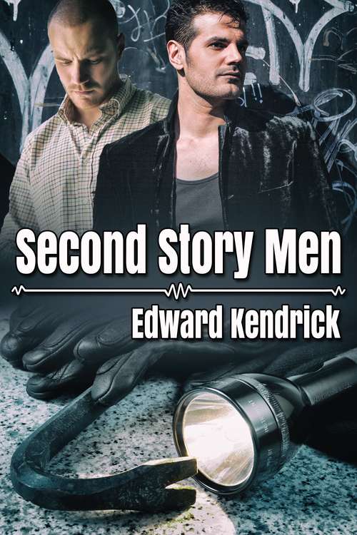 Book cover of Second Story Men
