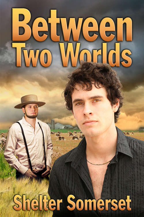 Book cover of Between Two Worlds (Between Two Worlds #3)
