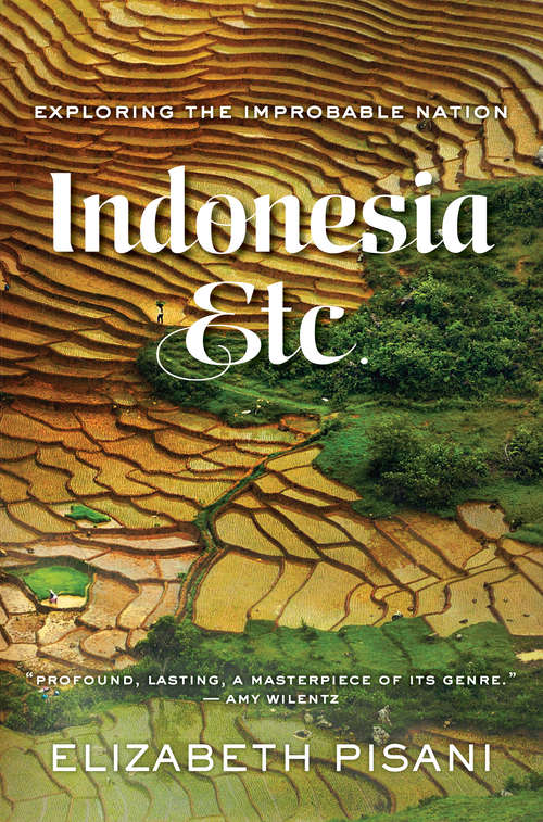 Book cover of Indonesia, Etc.: Exploring the Improbable Nation
