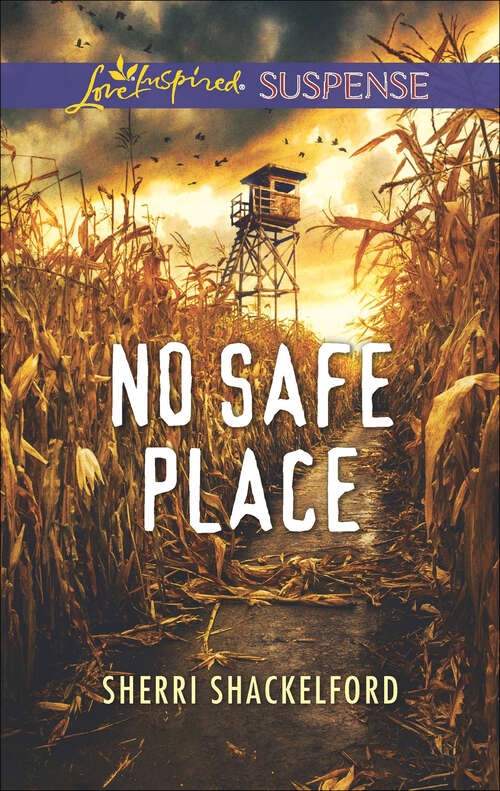 Book cover of No Safe Place: Distress Signal Mistaken Twin No Safe Place (Original) (Mills And Boon Love Inspired Suspense Ser.)