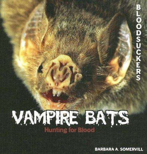 Book cover of Vampire Bats: Hunting for Blood (BloodSuckers)