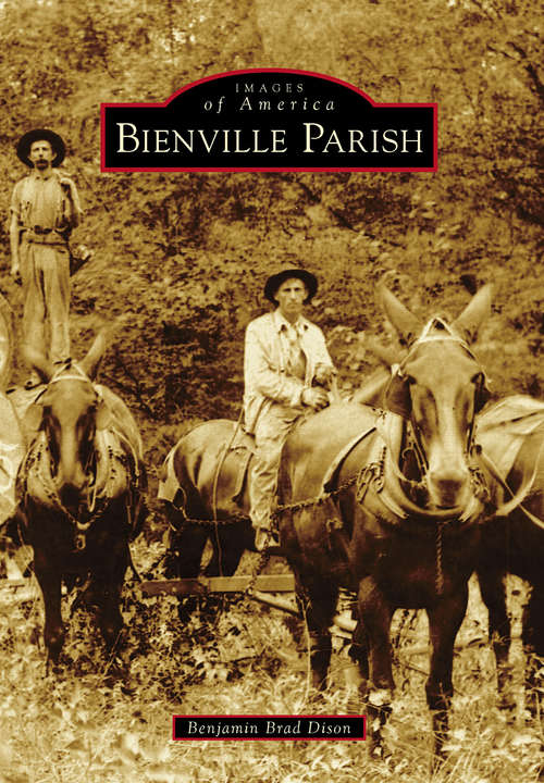 Book cover of Bienville Parish