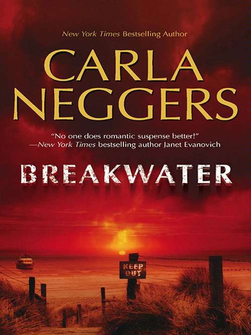 Book cover of Breakwater