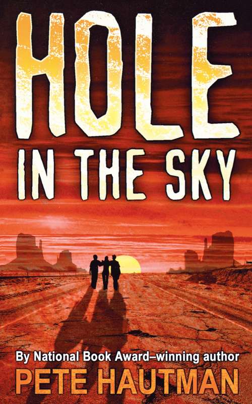 Book cover of Hole in the Sky