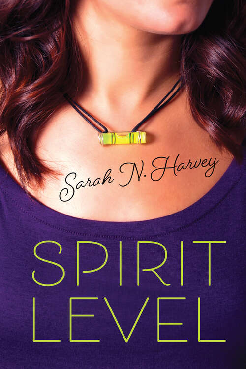 Book cover of Spirit Level