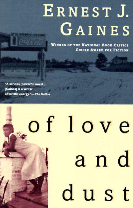 Book cover of Of Love and Dust (Vintage Contemporaries)