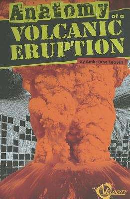 Book cover of Anatomy of a Volcanic Eruption