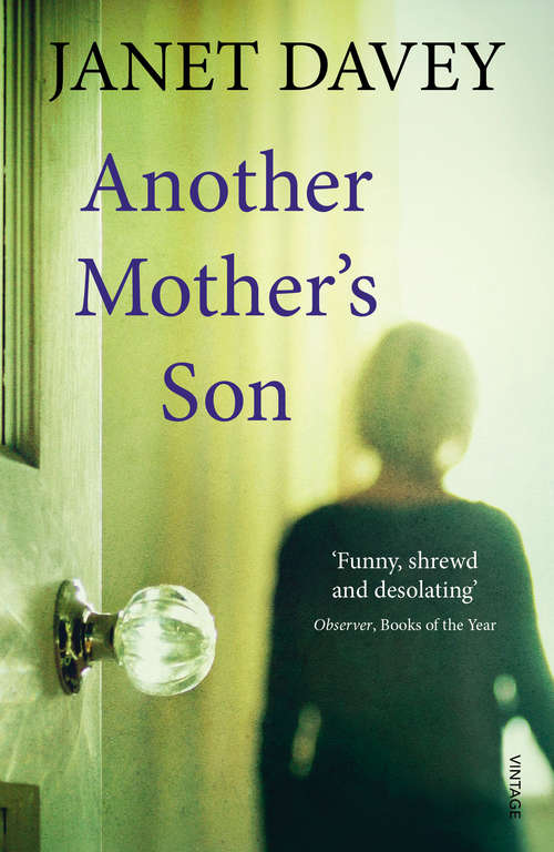 Book cover of Another Mother's Son