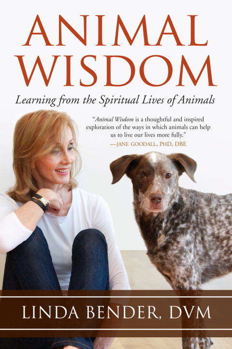 Book cover of Animal Wisdom