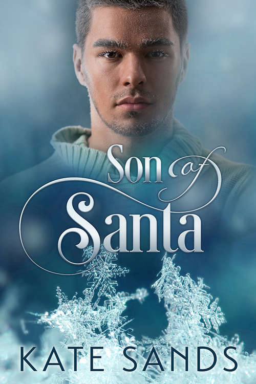 Book cover of Son of Santa