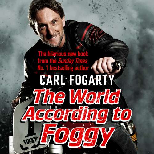 Book cover of The World According to Foggy