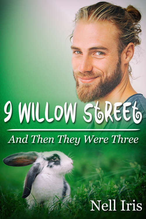 And Then They Were Three (9 Willow Street #1)