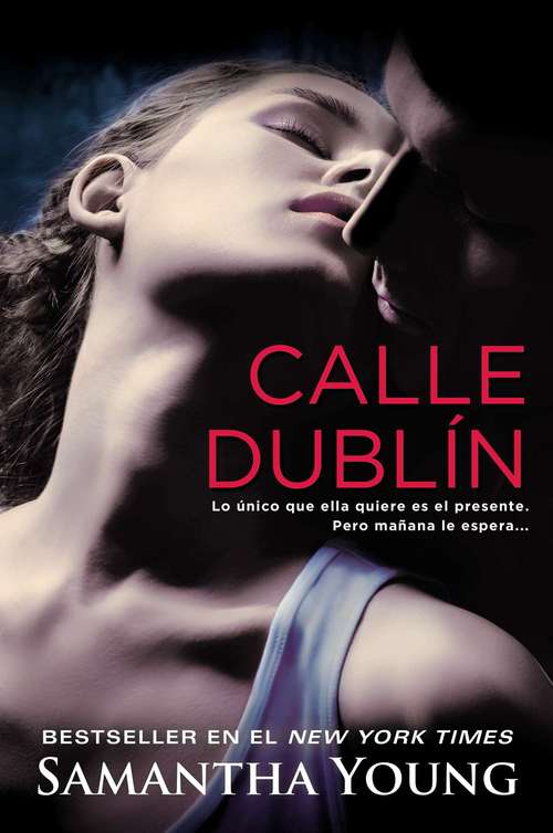 Book cover of Calle Dublín