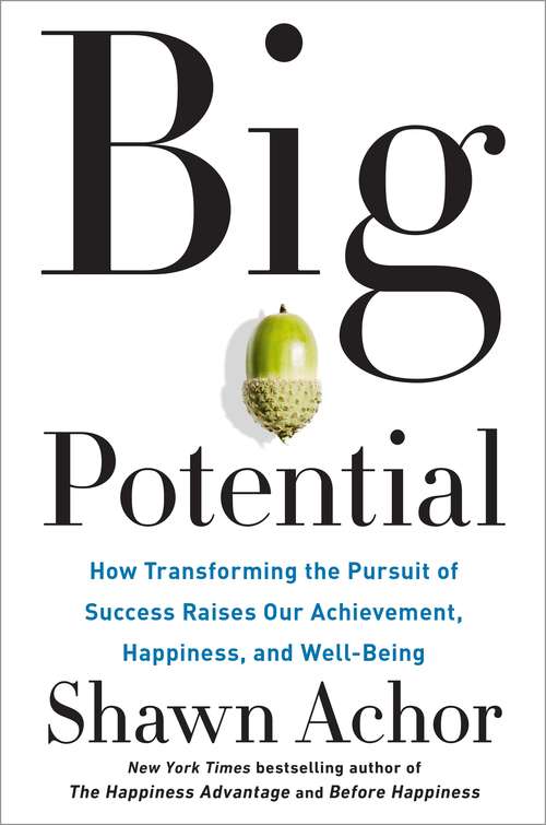 Book cover of Big Potential: How Transforming the Pursuit of Success Raises Our Achievement, Happiness, andWell-Being