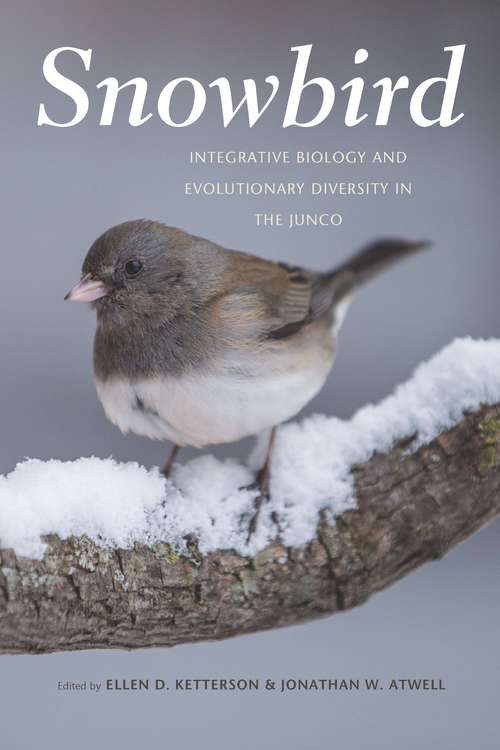 Snowbird: Integrative Biology and Evolutionary Diversity in the Junco