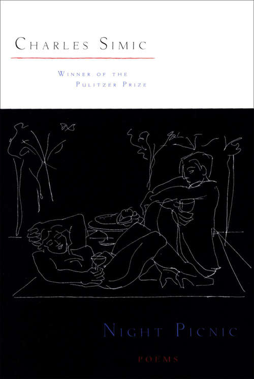 Book cover of Night Picnic