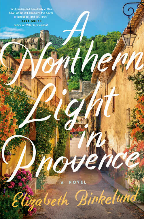 Book cover of A Northern Light in Provence: A Novel