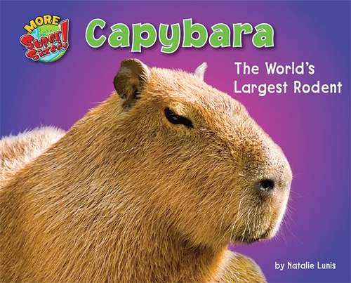 Book cover of Capybara: The World's Largest Rodent (More Super Sized!)