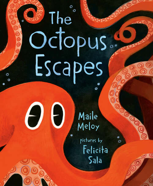 Book cover of The Octopus Escapes