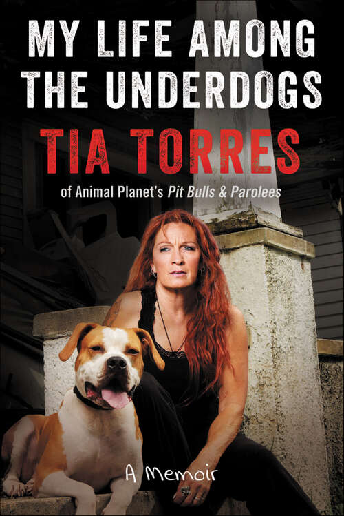 Book cover of My Life Among the Underdogs: A Memoir