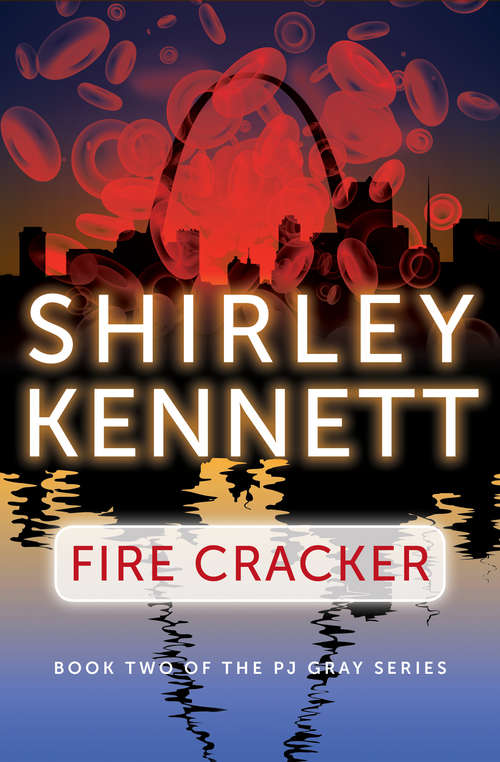 Book cover of Fire Cracker