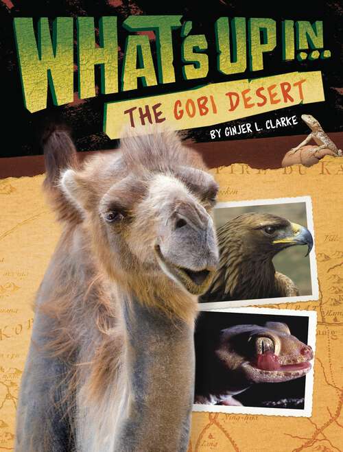 Book cover of What's Up in the Gobi Desert (What's Up)