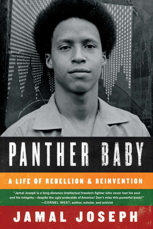 Book cover of Panther Baby: A Life of Rebellion & Reinvention
