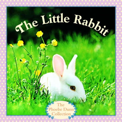 The Little Rabbit (Pictureback(R))