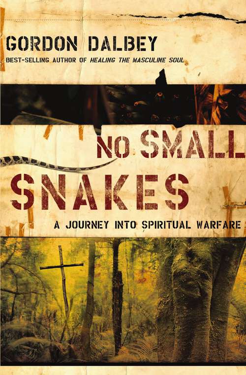 Book cover of No Small Snakes: A Journey Into Spiritual Warfare