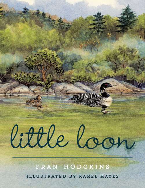 Book cover of Little Loon