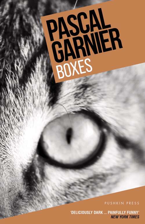 Book cover of Boxes: Shocking, hilarious and poignant noir