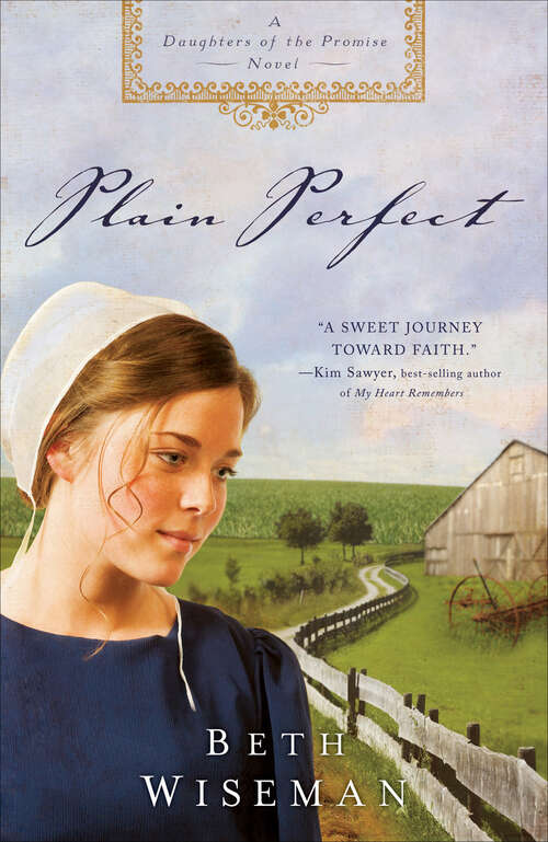 Book cover of Plain Perfect