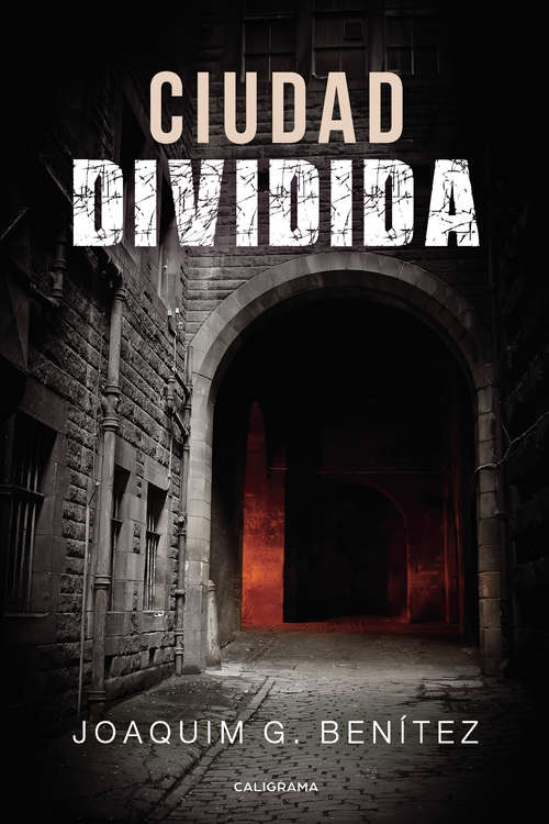Book cover of Ciudad dividida