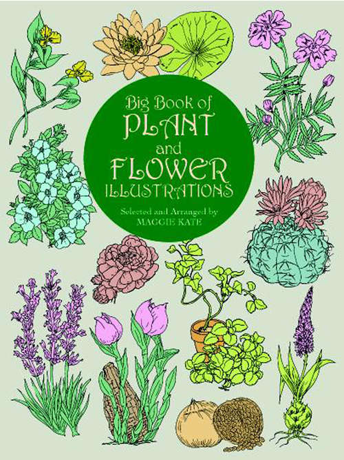 Book cover of Big Book of Plant and Flower Illustrations