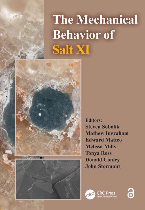 Book cover of The Mechanical Behavior of Salt XI (1)
