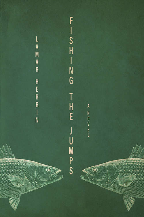 Book cover of Fishing the Jumps: A Novel