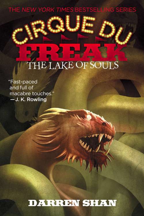 Book cover of The Lake of Souls: The Saga of Darren Shan #10) (Cirque Du Freak #10)