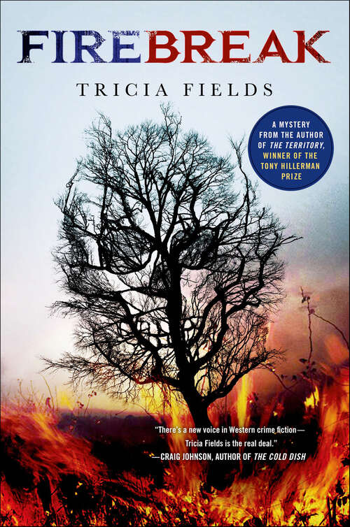 Book cover of Firebreak: A Mystery (Josie Gray Mysteries)