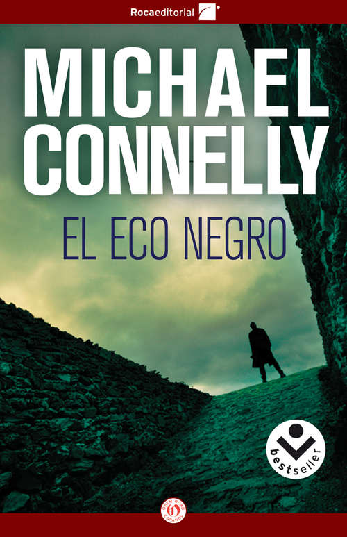 Book cover of El eco negro