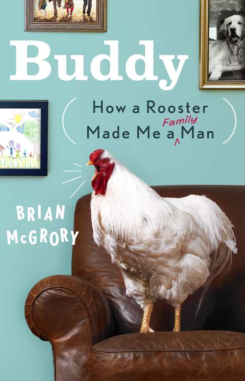 Book cover of Buddy: How a Rooster Made Me a Family Man