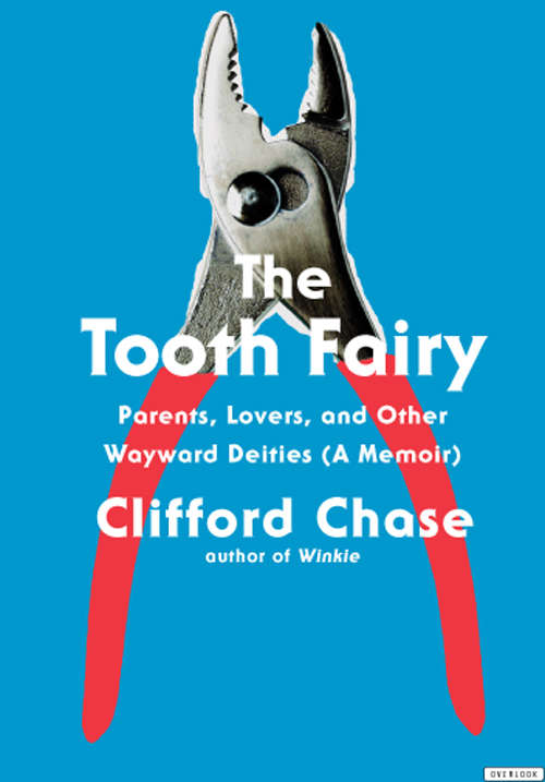 Book cover of The Tooth Fairy