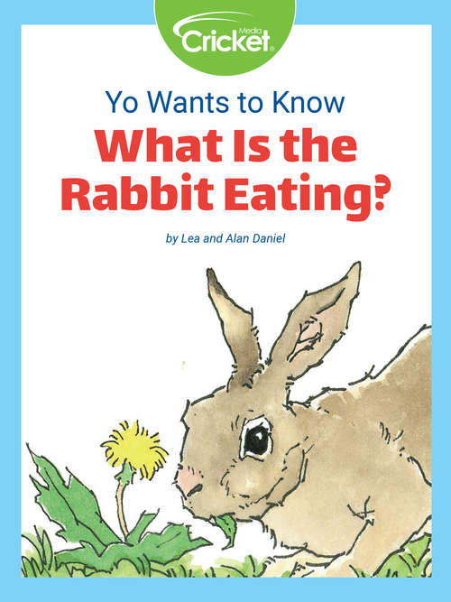 Yo Wants to Know: What Is the Rabbit Eating?