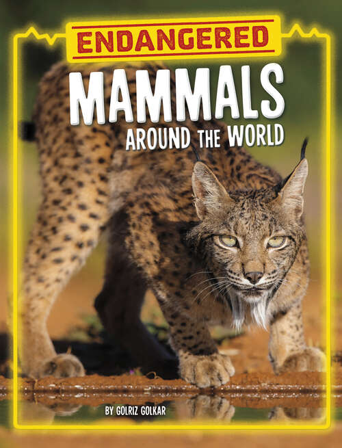Book cover of Endangered Mammals around the World (Endangered Animals Around The World Ser.)