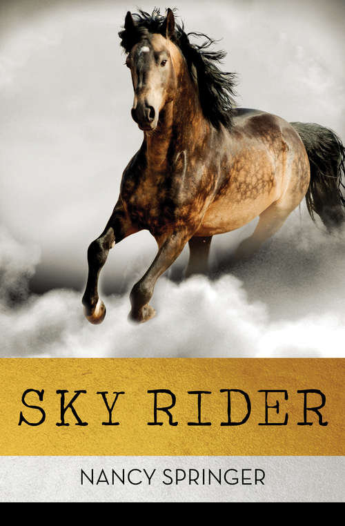 Book cover of Sky Rider (Digital Original)