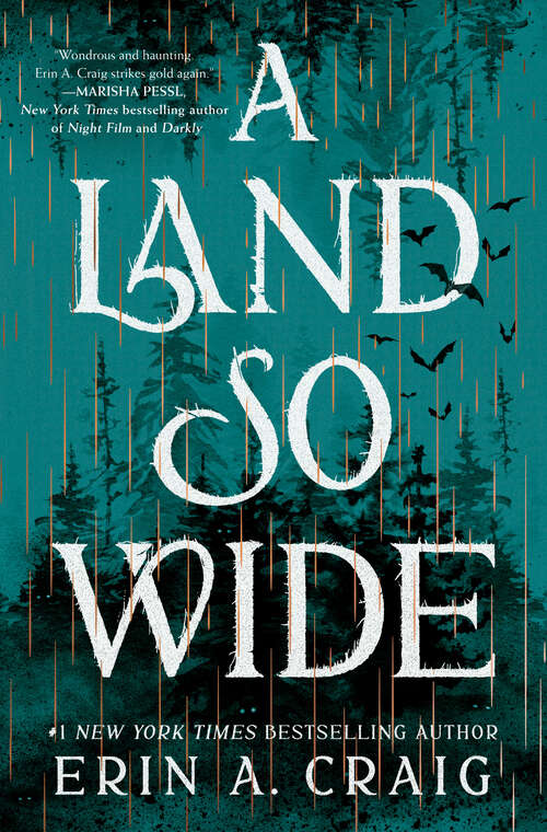 Book cover of A Land So Wide: A Novel