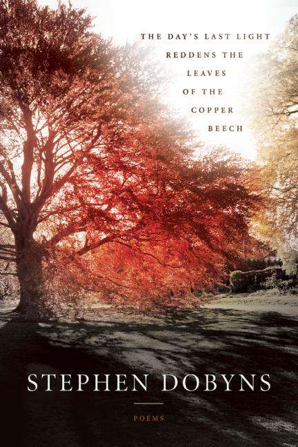 Book cover of The Day's Last Light Reddens the Leaves of the Copper Beech