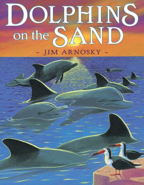 Book cover of Dolphins on the Sand